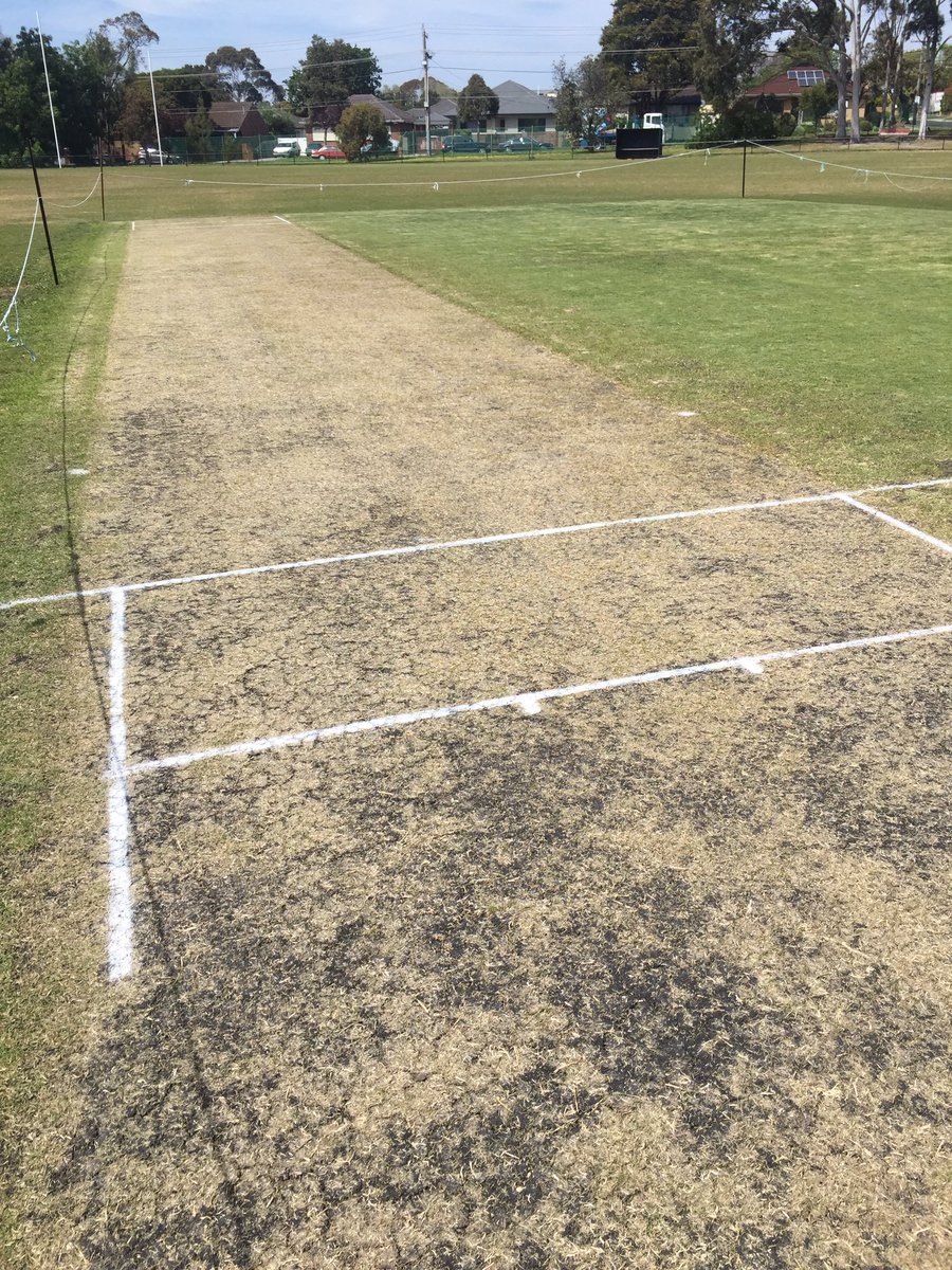 Game day! We would like to thank our major sponsors Jodek Financial Services, Sonapar and Triology Cricket who make this possible #woofwoof