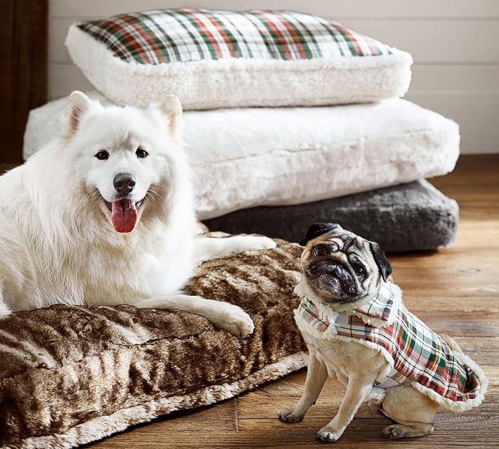 potterybarn's tweet photo. Humans aren’t the only ones seeking cozy comfort this fall! Treat your furry friends to seasonal upgrades: https://t.co/7YettsHvgX #PBPet https://t.co/LaOxtIsR9M
