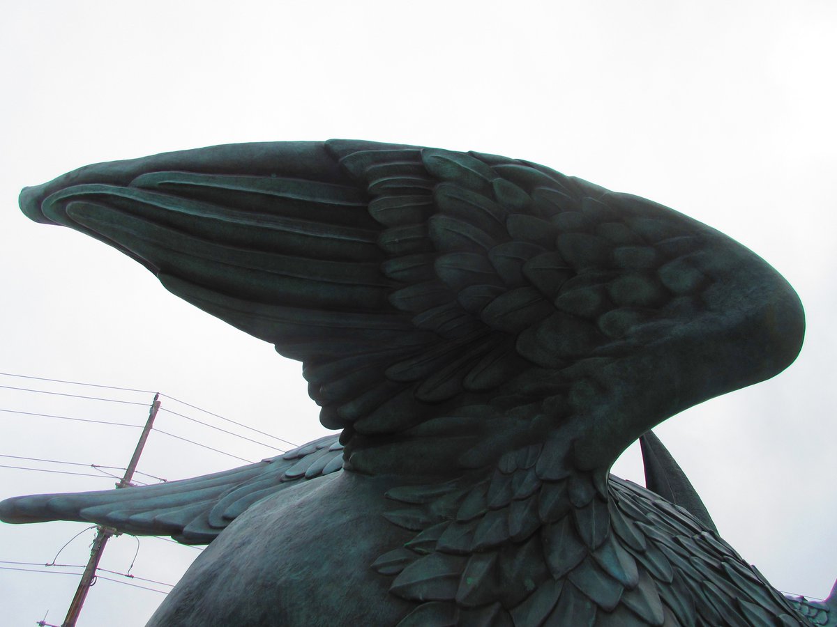 GryphonStatue's tweet photo. A word of advice, don't wing it. https://t.co/HP9GiRJyBP