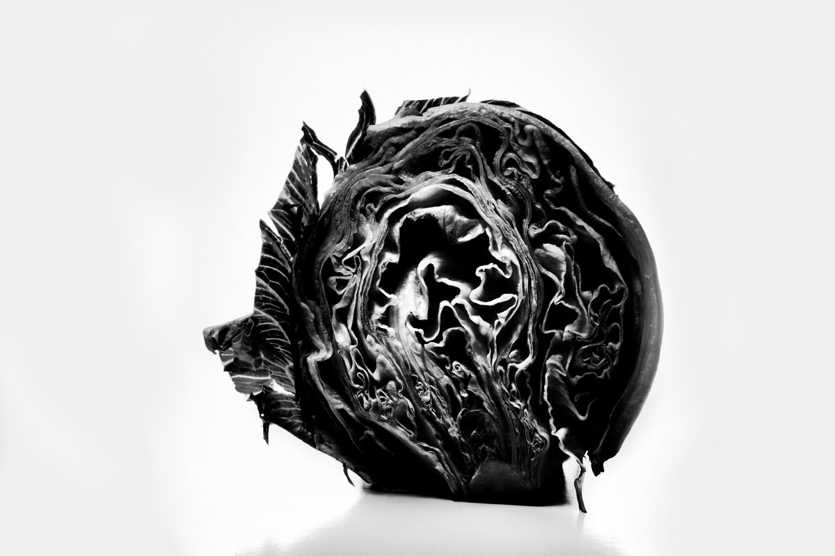 manning_arts's tweet image. 