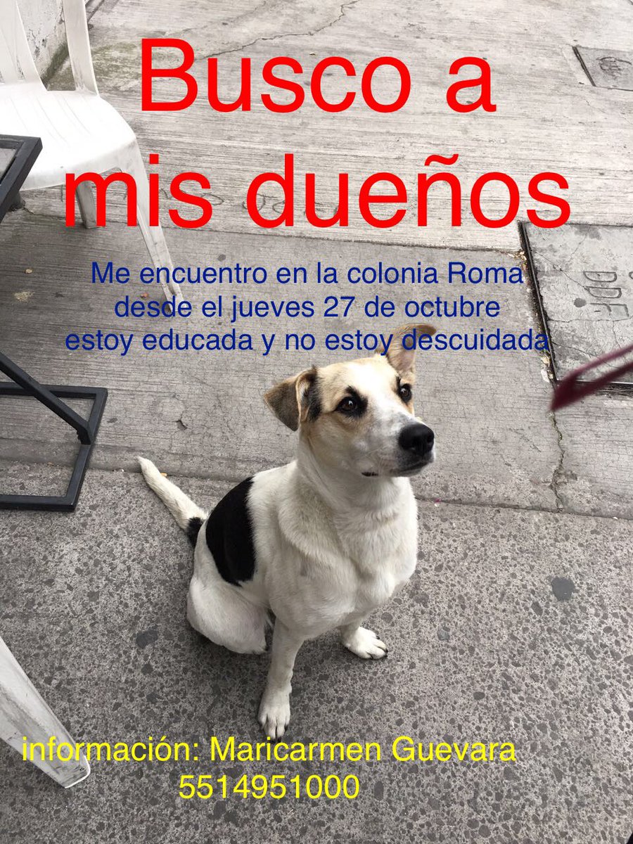 MKGuevara's tweet photo. @MasquePerrosMX @PerrosD @koncientizando https://t.co/TIpa7x8aL7