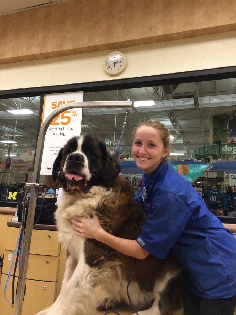 furminator st bernard
