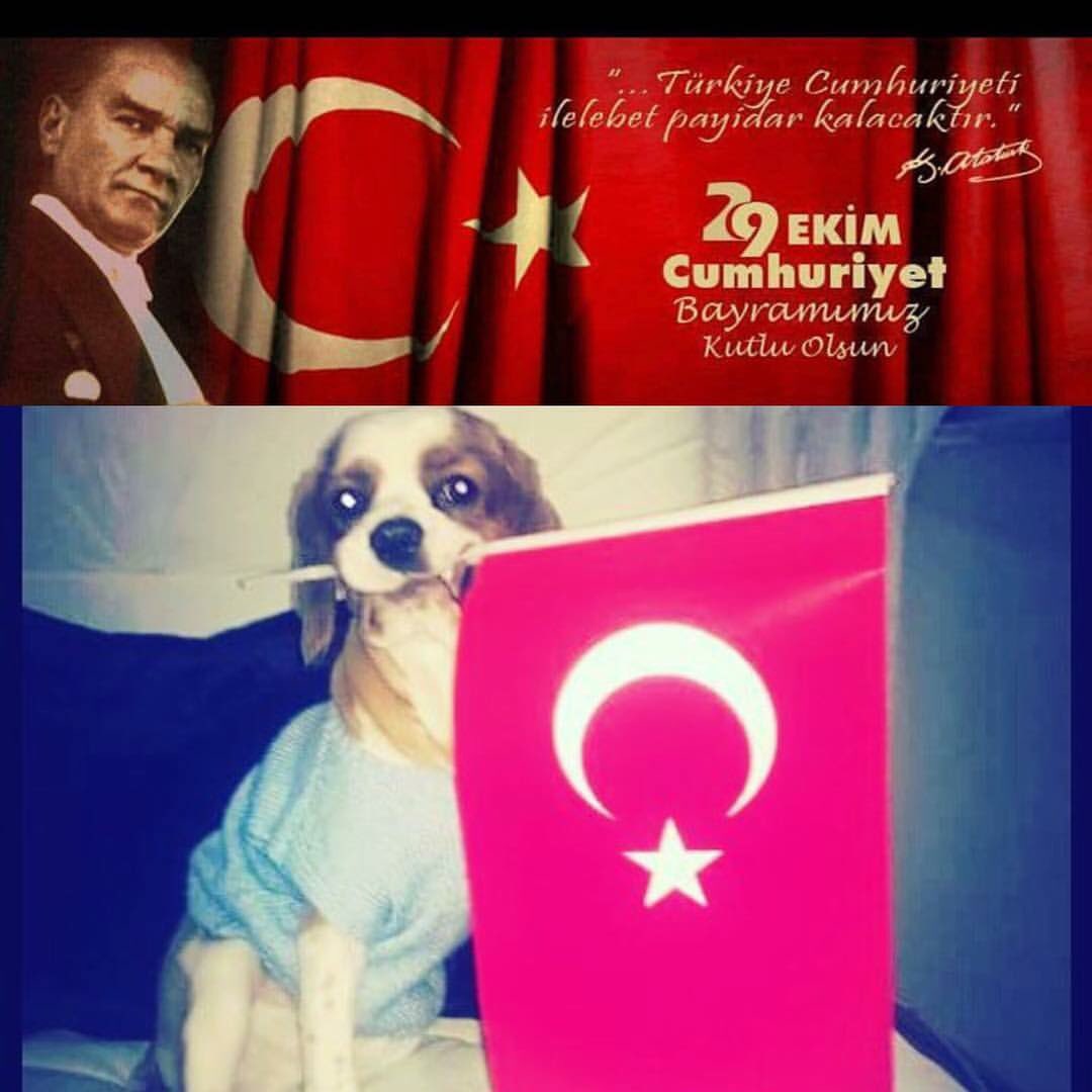 Cumhuriyeti bize armağan eden Mustafa Kemal Atatürk'ü ve silah arkadaşlarını saygı ile anıyoruz 🇹🇷
#29Ekim1923 #93YıldırBirlikte #93yıl