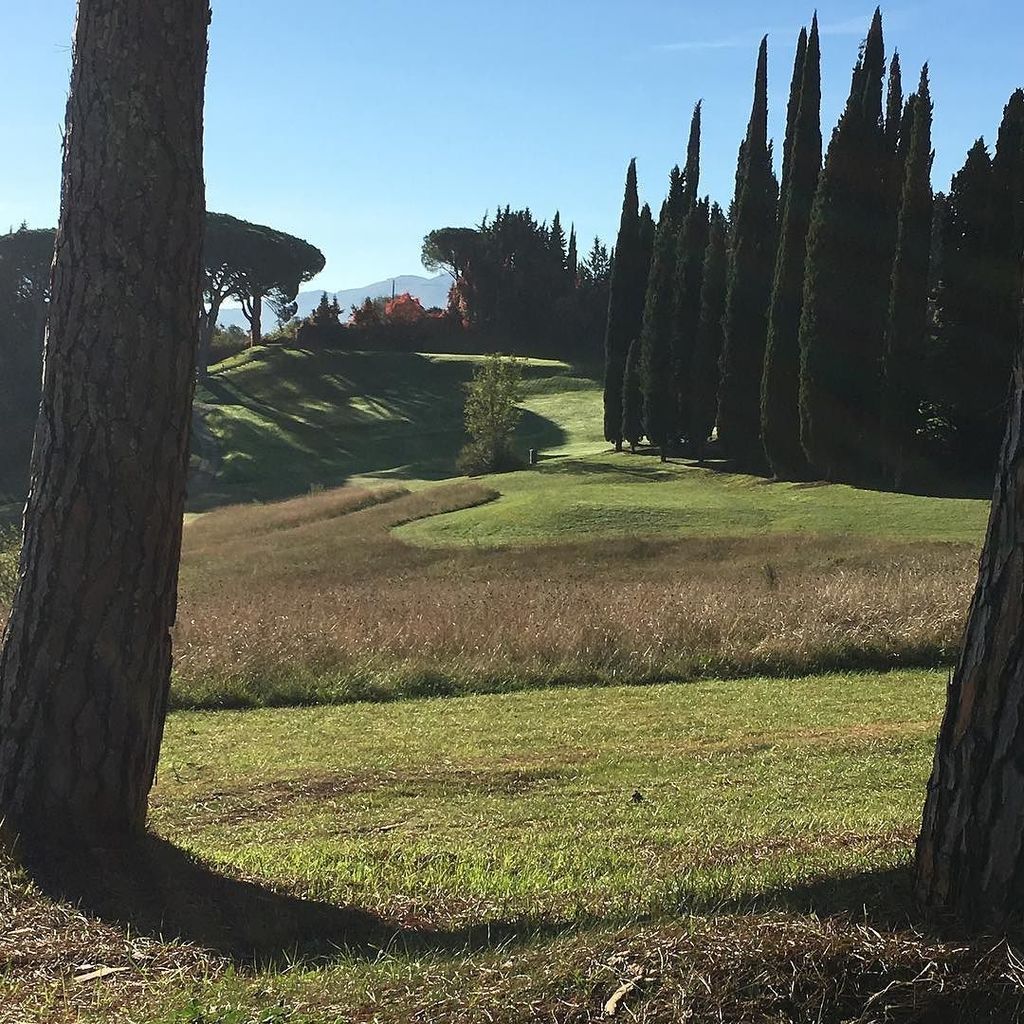 golfugolino's tweet photo. #sole #roughpic #october in #tuscany #teeoff #green #chianticlassico https://t.co/HNBt3stiQK