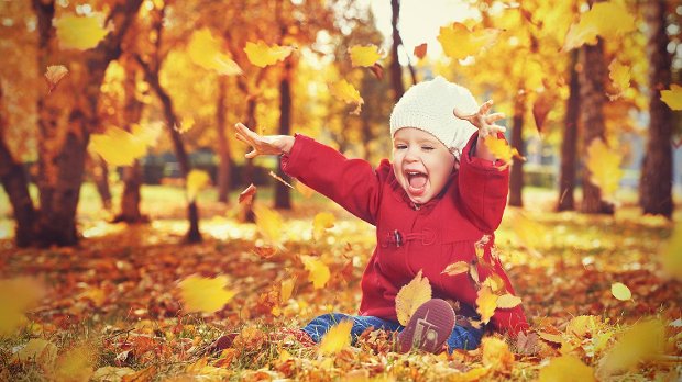 HuisvhKindKor's tweet photo. Deel ons bericht met herfsttips voor het gezin op je fb pagina en win een herfstpakketje van @StadsboerKTown : https://t.co/SovES47Cnu https://t.co/3mVuaYYX7X