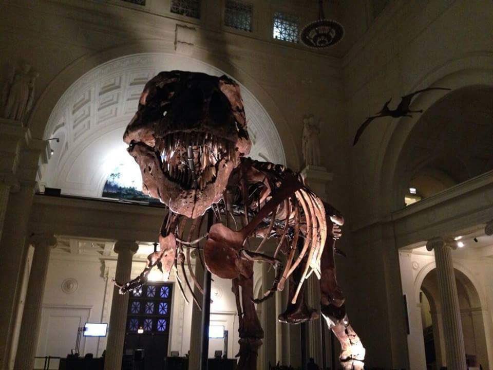 SUEtheTrex's tweet photo. (Through gritted teeth) 

"I'm fine. This is fine. Stop asking." https://t.co/lxuiWs2T3h