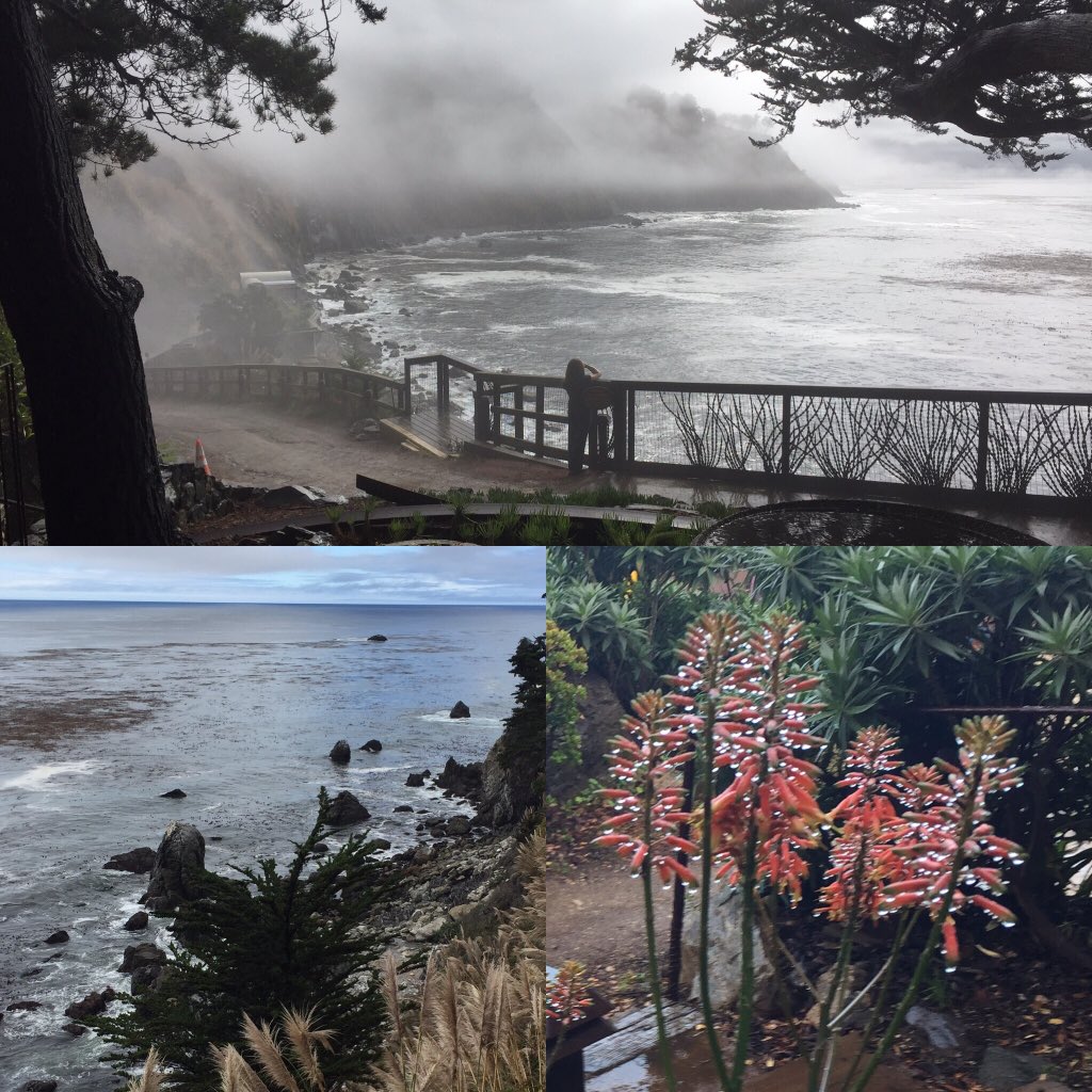SpomoLTD's tweet photo. It rained today in Big Sur CA. Still an amazing day of #vanlife https://t.co/lcroKfkU5G