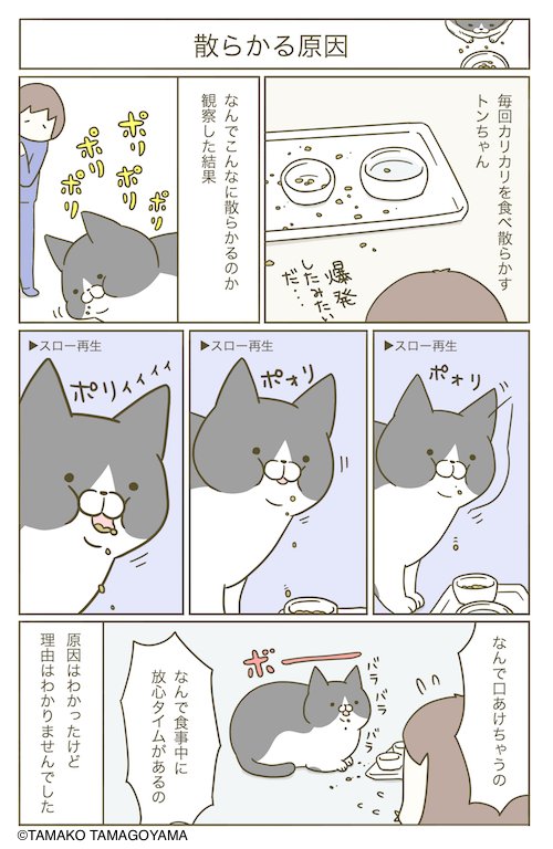 猫まんが。 