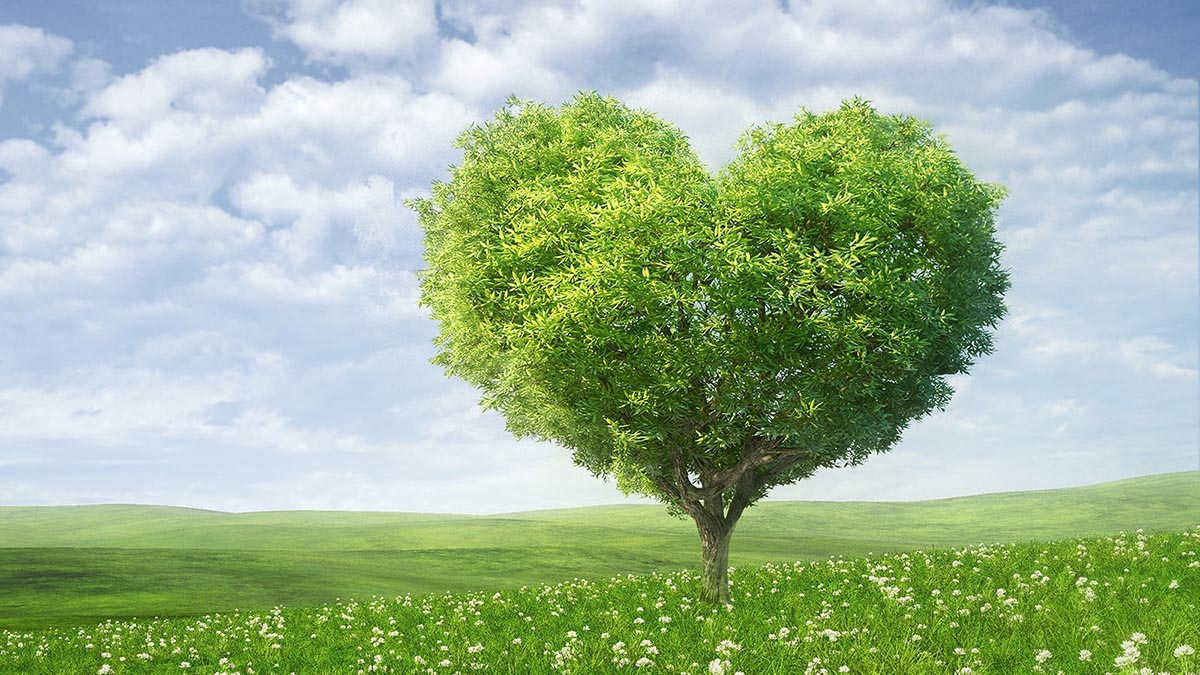 liferealityorg's tweet photo. Love hard, because that is what we know https://t.co/ZbY2LwlMp9 https://t.co/o45xu0YMFJ