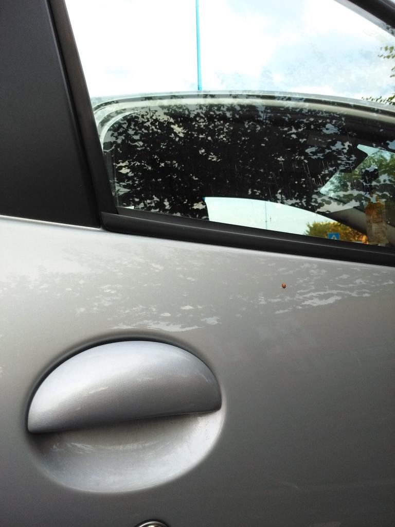 Roxella79's tweet photo. Ieri ho ricevuto una timida richiesta di passaggio... non ho potuto rimanere indifferente... https://t.co/TVHveUJkoo