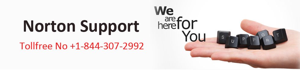driversupports's tweet photo. Remove Viruses from Your System with A Good Norton Antivirus Support
https://t.co/GxlM1I80Ub #nortonsupport #norton360support #nortonhelp https://t.co/McGSG7glYe