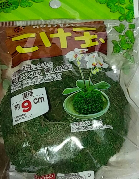 22 100均ダイソー セリアで買える苔玉 使い方や作り方も Belcy
