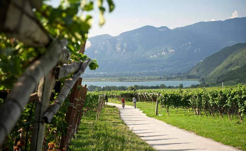 TwitItalianWine's tweet image. Italy Wine tours in Bike... with @ibmBIKE