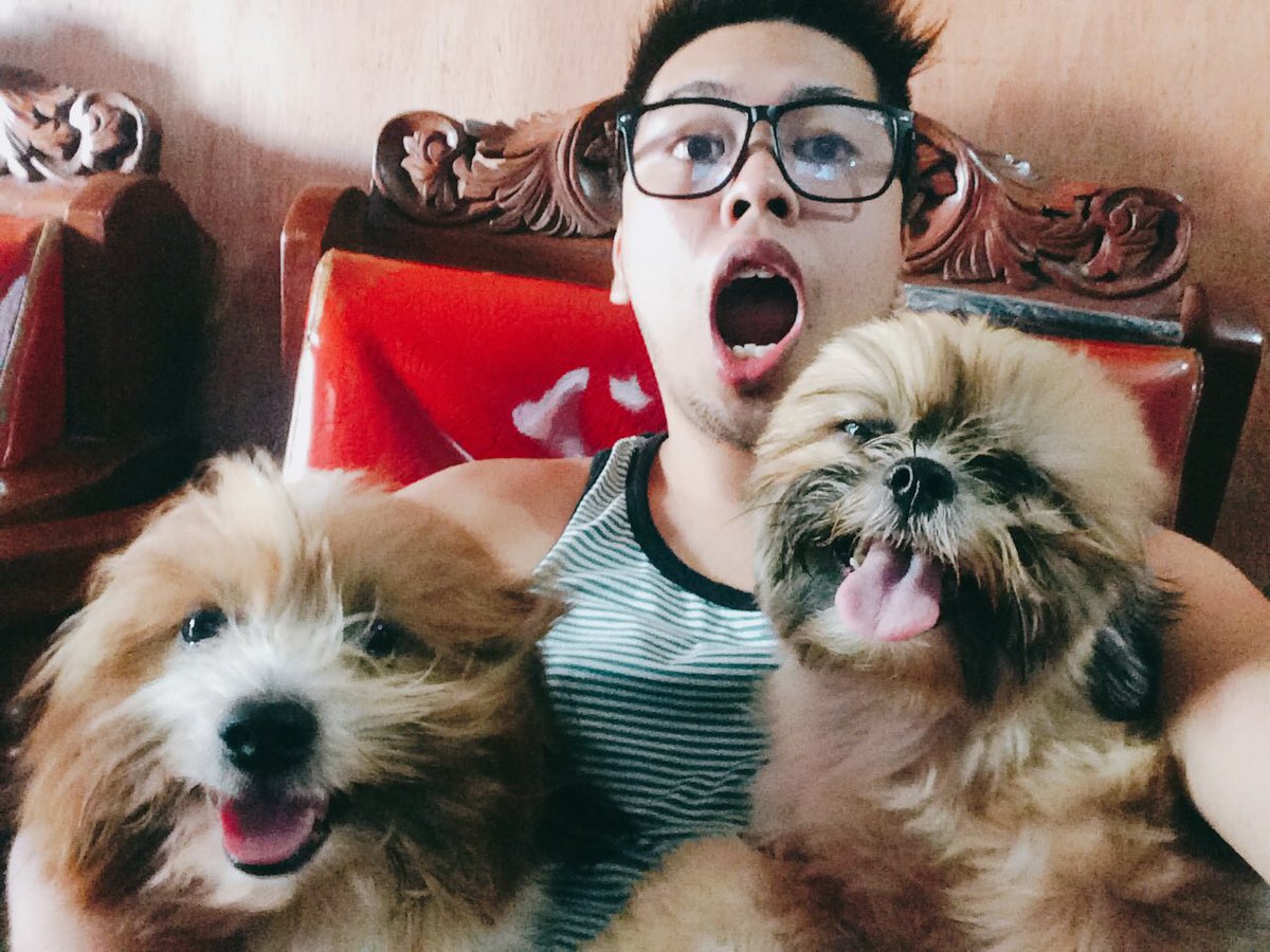 iamclintgerald's tweet photo. #winterboy #winter #doglover #mansbestfriend #shihtzu #shitzu #pomeranian #shipom https://t.co/O4tHsROH3k