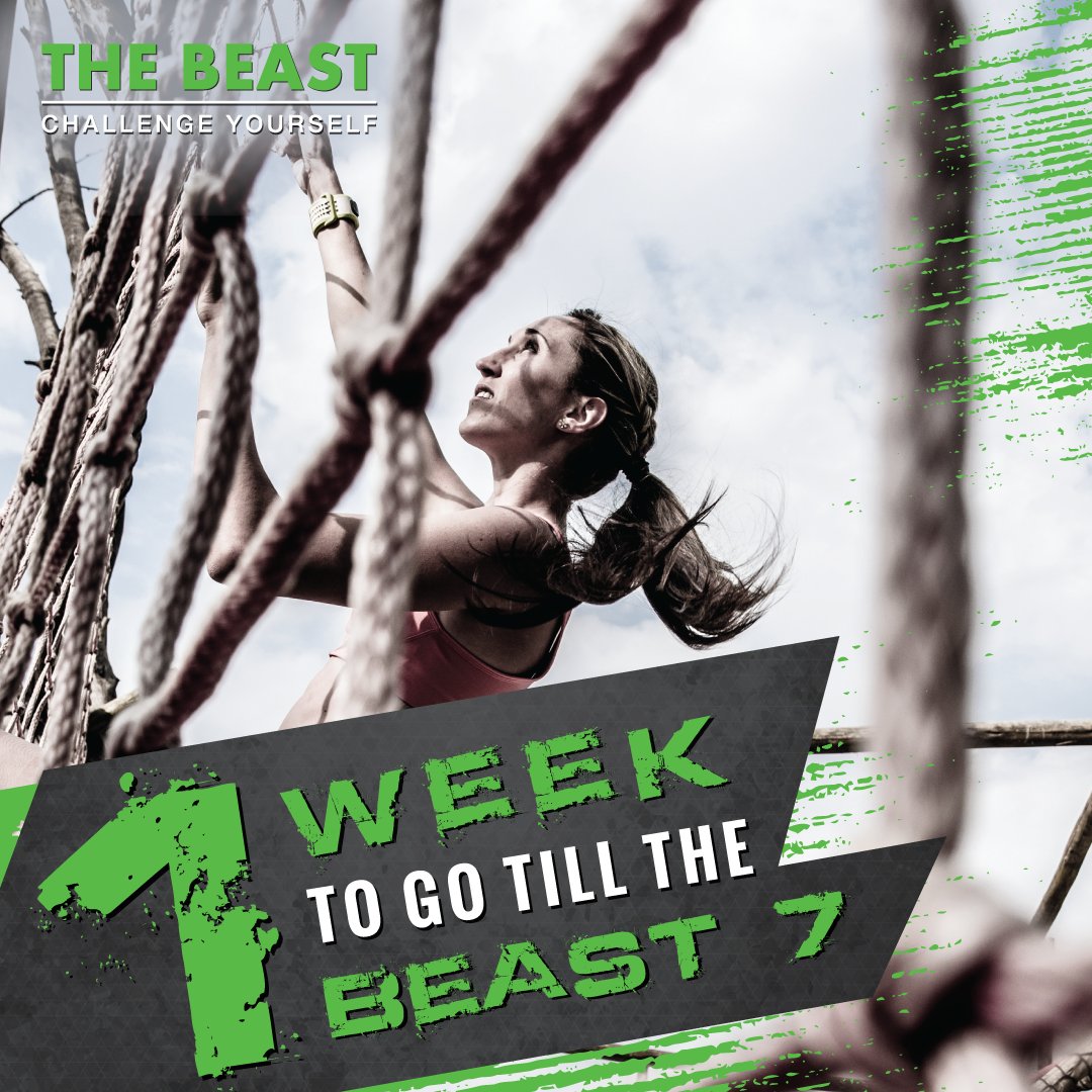 The Beast tweet media