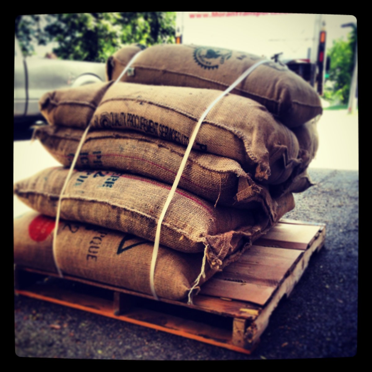 fgroast's tweet image. For your morning #coffee reading pleasure: It's all about the Beans #brewingbasics fgroa.st/2eCL5sb