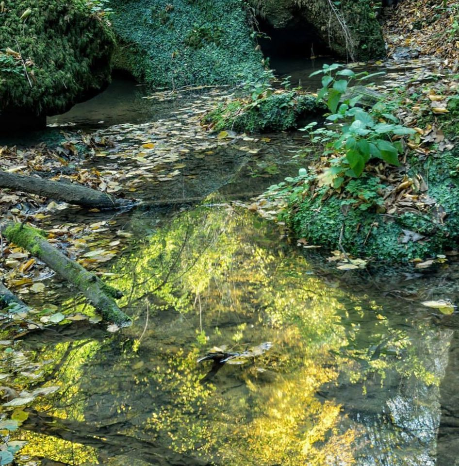 visit_lazio tweet picture