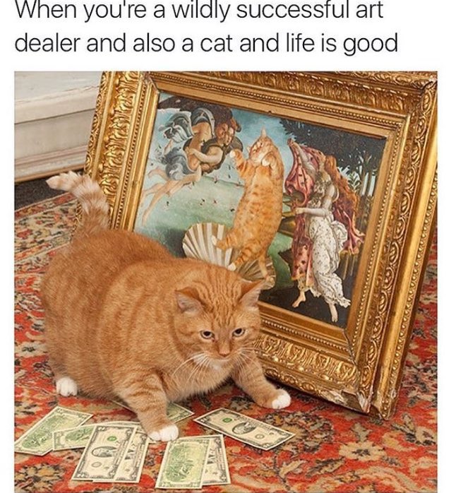 hermitgee's tweet image. Part 2 motherfuckers! #NationalCatDay