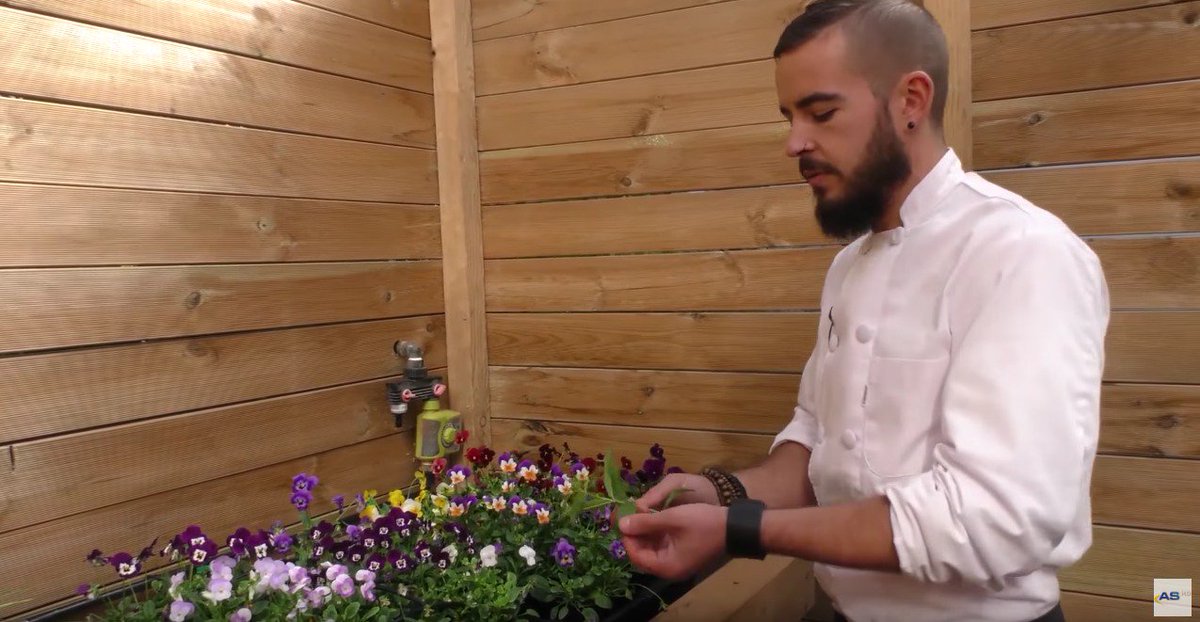 @ComeTAsturiasTV <a href="/TeleAsturiasTV/">TeleAsturiasTV</a> <a href="/CorralinEl/">Sidrería la Viliella</a> con <a href="/Langui_Oficial/">Langui_Oficial®</a>,
hablaremos con <a href="/SIDRACASTANON/">LLagarSidraCastañon</a>, <a href="/PCaboBusto/">Pasteleria CaboBusto</a> y +.
youtu.be/13xr8NoFnxw