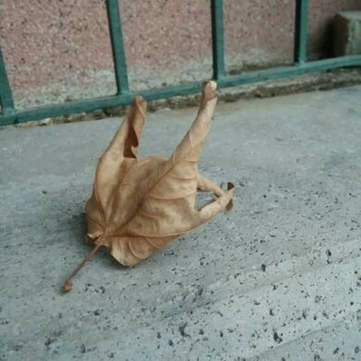 Нас много картинки. Нас много я живой. Вас одна а я много сплит мем. Пока мы живы можно всё исправить картинки. Нас много я живой.