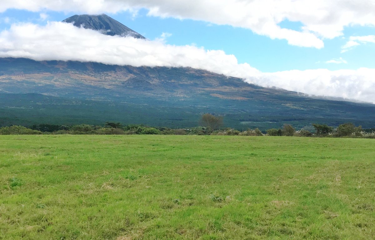 Inagaki Yoshihiro 乃木坂46 サヨナラの意味 ロケ地探し 堀未央奈16 10 22ブログの写真 左端の緑の建物 中央付近の山が一部禿げた所と その右の松ノ木の枝ぶり 右端の木 T Co K1rlsm5mob