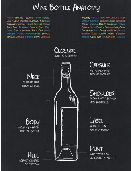 winepicker's tweet photo. Anatomy of a wine bottle from Closure to Heel! #wine #wineapp #Winereview #foodandwine #winepairing #Wineappandroid #WineappiOS https://t.co/5sU3XrxXfK