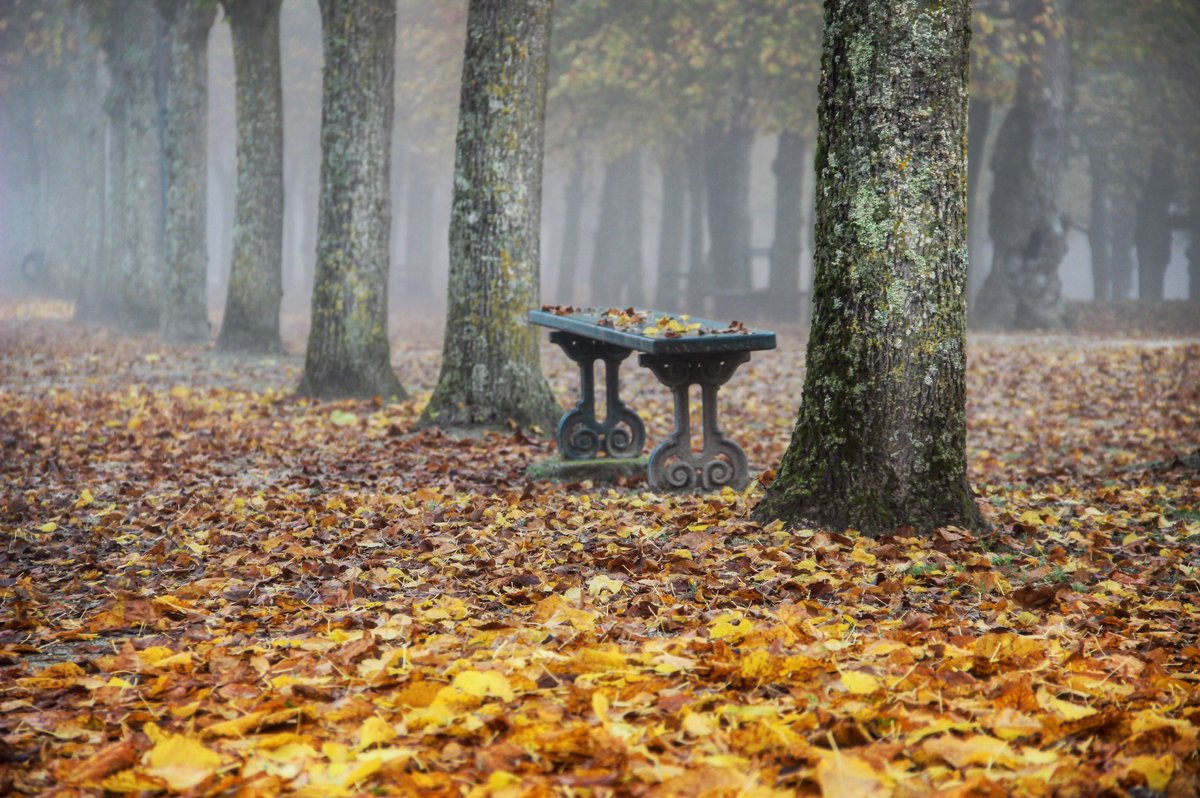 Une ambiance mystique règne ces temps-ci dans les jardins du château 🌬 Profitez des vacances de la Toussaint pour découvrir notre domaine !
