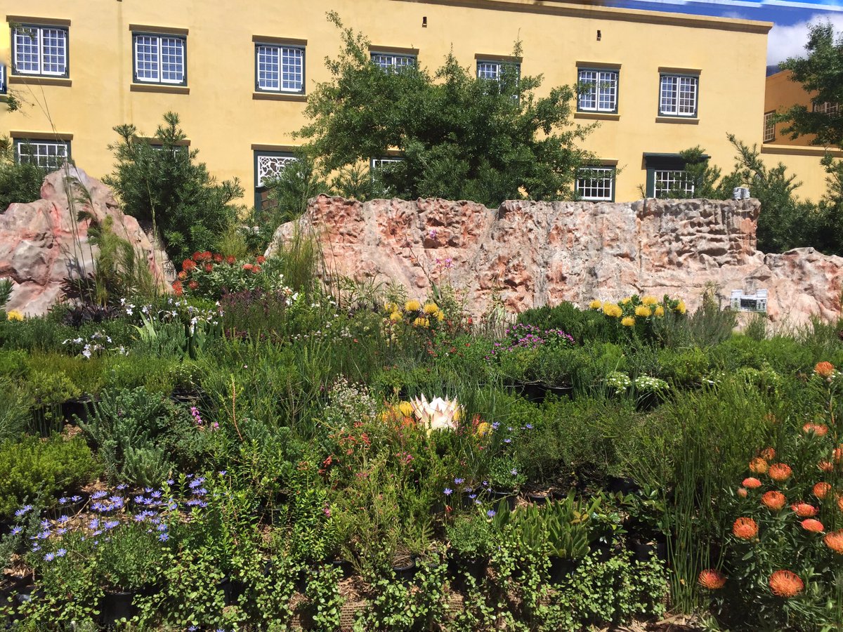 tulipandphoenix's tweet photo. So much to see and do at the @CT_FlowerShow at the @CapeTownCastle 🌲🌻🌲🌼🌳🌺 #CTFS2016 https://t.co/wrfOsxCypH