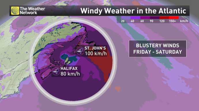 BC | DR Management (@bc_dr) | Twitter