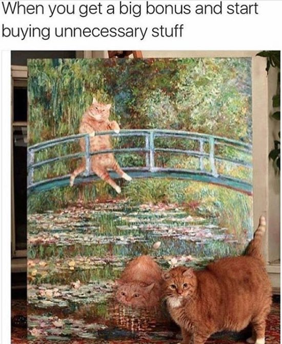 hermitgee's tweet image. It's #NationalCatDay so prepare your ass for some cat pictures!