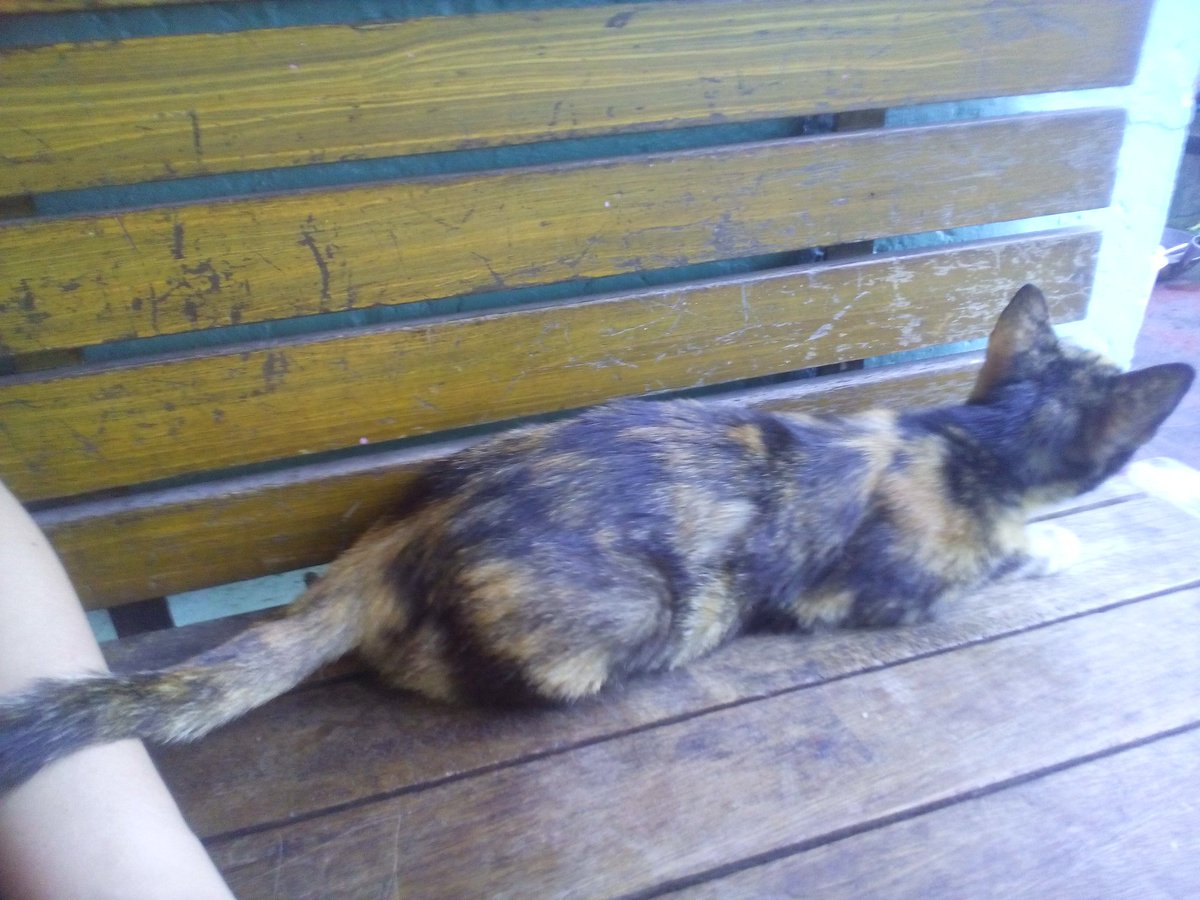 Hustler_Ysel's tweet photo. Someone's out here. And I'm trying to find out who 😾😾 https://t.co/vzKd9iaSIg
