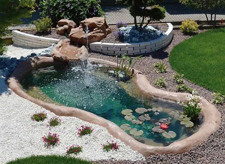 Uno splendido laghetto #Padova #rigeneriamoci #koi #giardinaggio #pesci