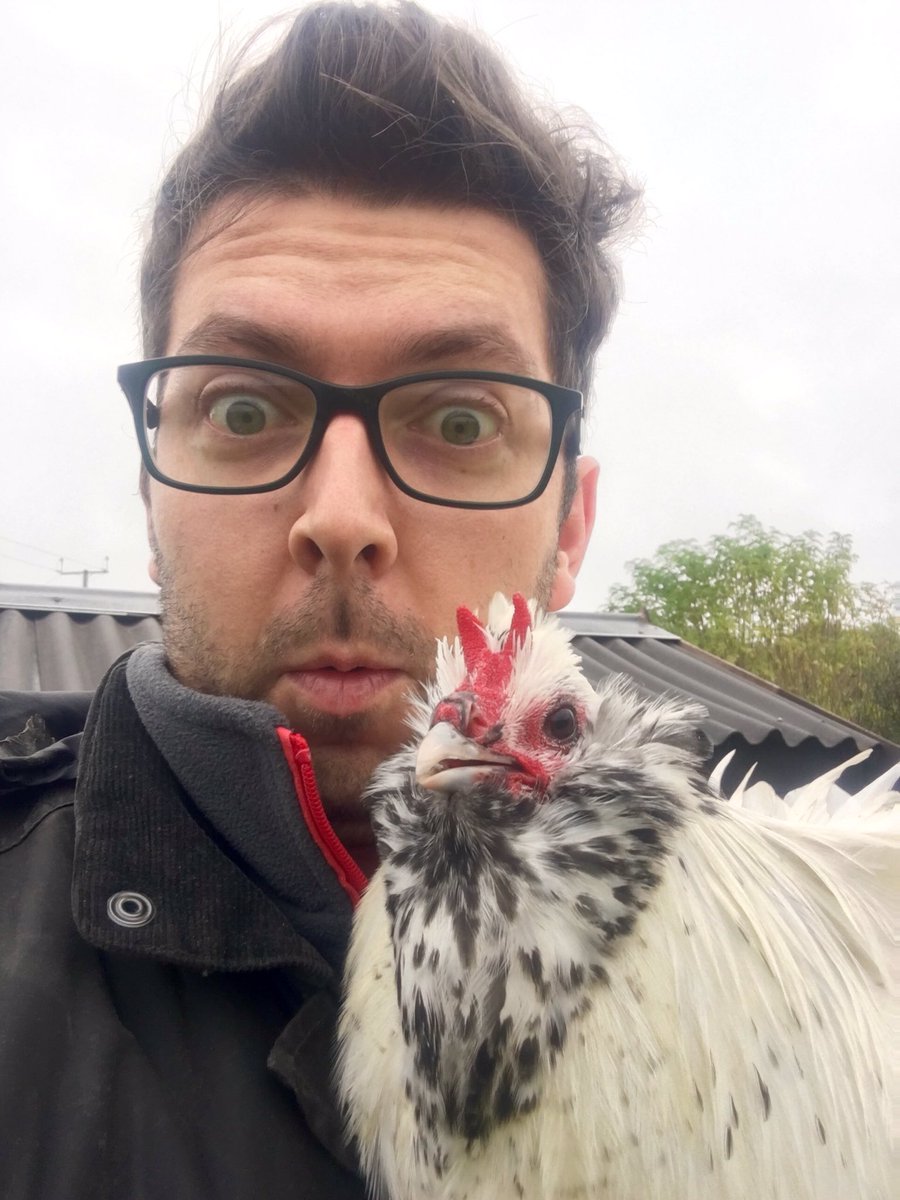 NagsHeadFarm's tweet photo. Morning all from a cold and windswept Staffs! #Chelfie #Hedwig #Owlbeard #chickenhour https://t.co/1JuqRjN0HC
