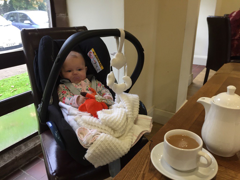 ChrisOxTyson's tweet photo. @amy_normz Evie, daddy and Mr Fox morning of fun in full swing! #wherearewe? #nobodyknows? https://t.co/CkyHrS90k1