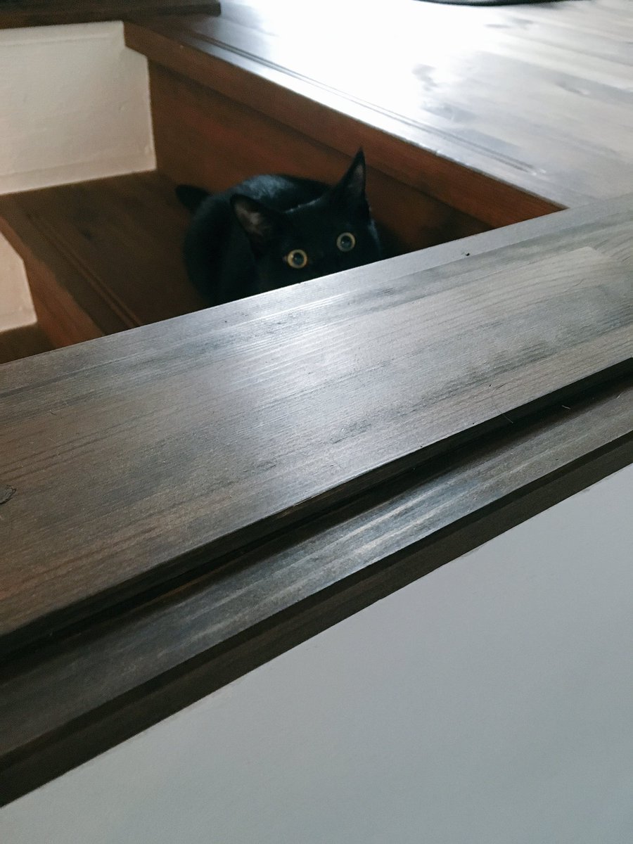 まっくろくろすけ出ておいで 各ご家庭に出没するリアルまっくろくろすけたち Togetter