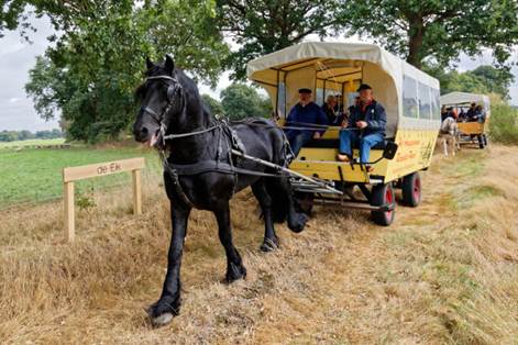 Morgen besteedt RTL LifestyleXperience aandacht aan de bouwkavels op landgoed <a href="/GrooteScheere/">De Groote Scheere</a> RTL4 vanaf 14.25u @ASRVV #Hardenberg #Coevorden