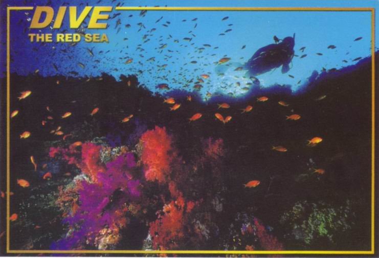 colnect's tweet photo. #Diving in the #RedSea is depicted on the #postcard from #Egypt. #colnect #collecting https://t.co/ZUCAr50M5p