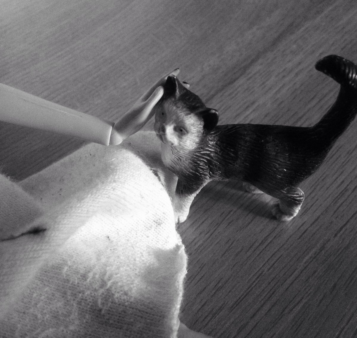 lucyyywest's tweet photo. cats still better than any men. #NationalCatDay https://t.co/ptqJIVsKap