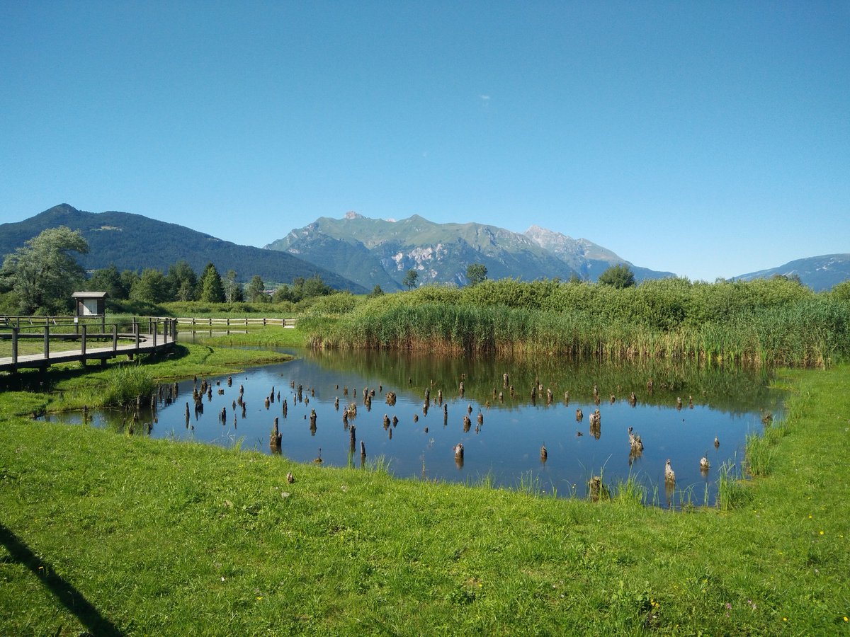 ArcheoTrentino's tweet photo. Vuoi scoprire la vita dei nostri antenati? Questo weekend visita i due gioielli museali prima della pausa invernale #MuseoRetico #MuseoFiavè https://t.co/MEHheIiIjD