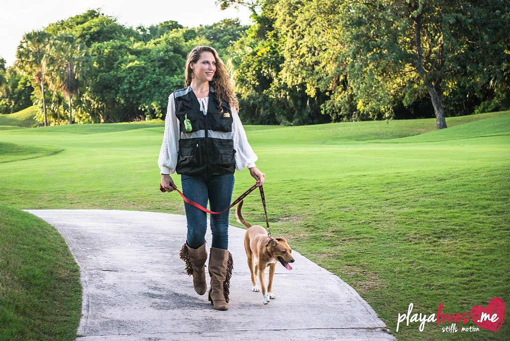 dogwalkershop's tweet photo. Make #DogWalking more enjoyable, hassle-free. #MultiplePockets,#Clips, #WaterBottlePockets,#ReflectiveStrips, #Sale. https://t.co/rnTohd1JaN