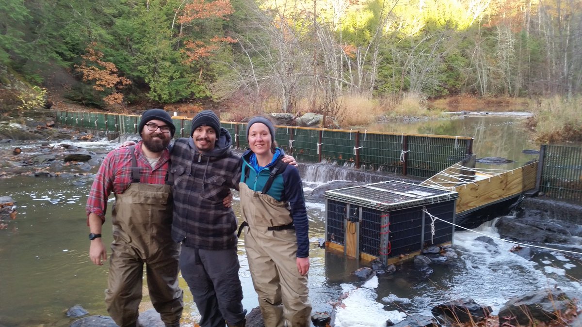 ZFishLab's tweet photo. Eel quest 2016...hopefully eel pictures tomorrow morning. https://t.co/PRbg1bn802