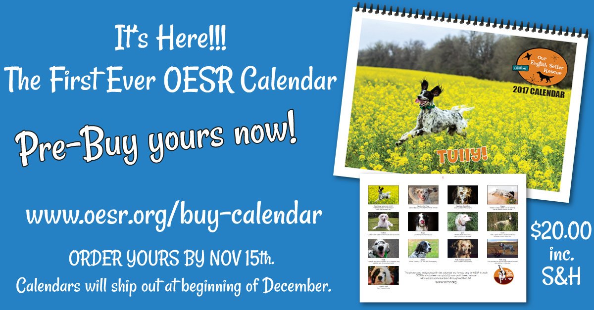 OurESRescue's tweet photo. Here's your chance to own our very first Setter Calendar.. don't miss out on the pre-sale...
https://t.co/TS9yGmo33f https://t.co/lOCtoWRnbL