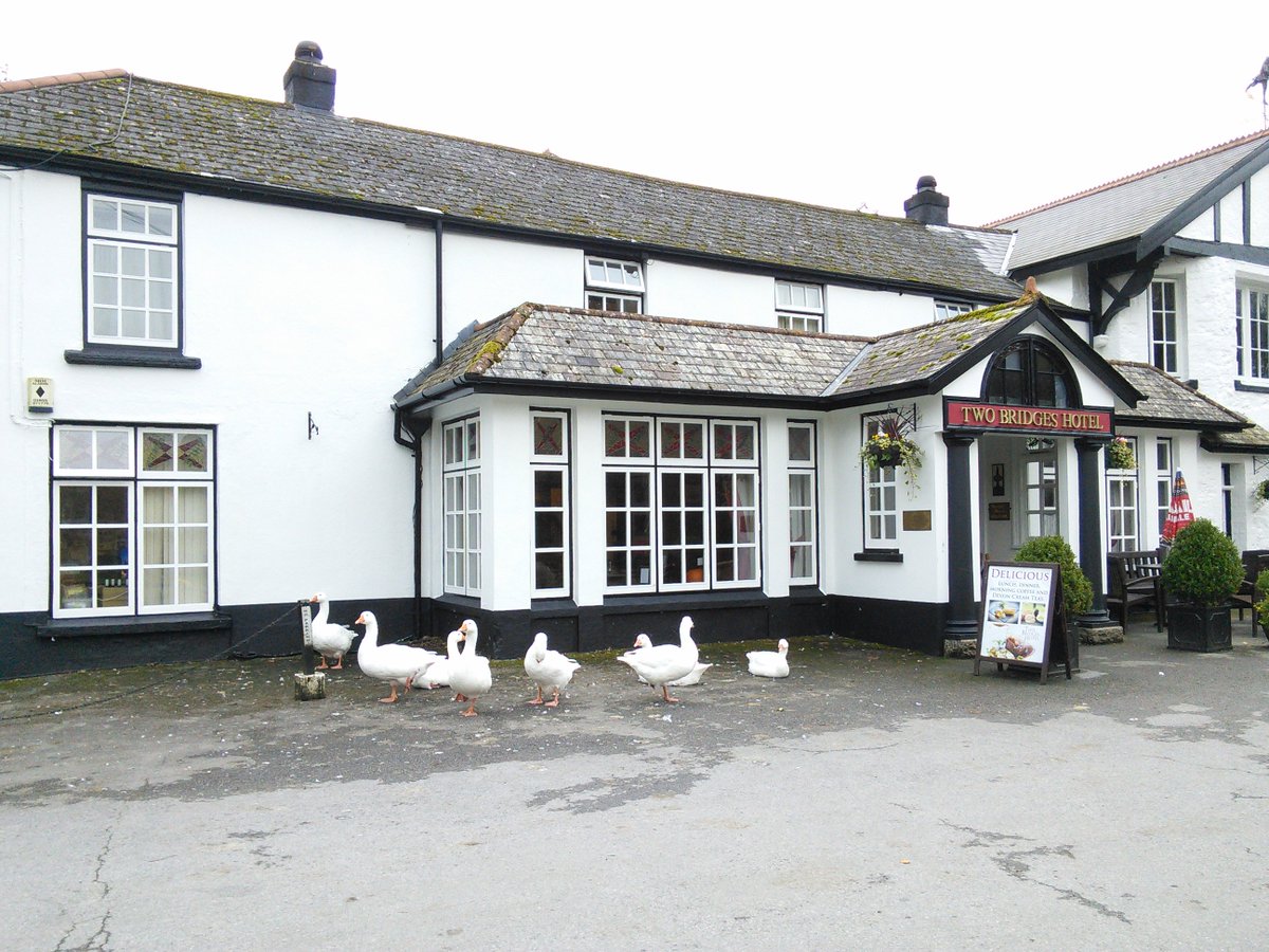 Newest addition to the site as promised: nightsinthepast.com/twobridges.html <a href="/Two_Bridges/">𝐓𝐖𝐎 𝐁𝐑𝐈𝐃𝐆𝐄𝐒 𝐇𝐎𝐓𝐄𝐋</a> (and its Geese) on Dartmoor. Had a fabulous stay.