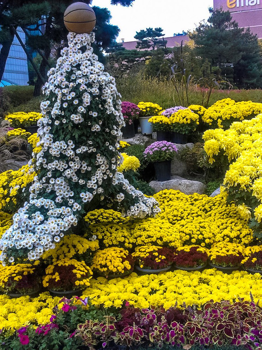 Green World Award 2016 radissonbelize.wordpress.com/2016/10/29/gre…