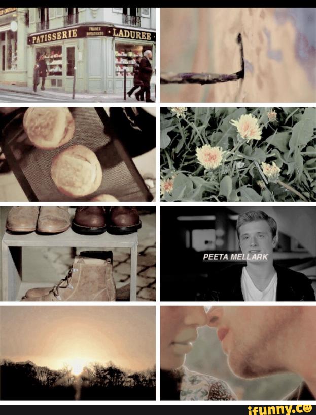 bxybread's tweet image. ❝You love me ¿real or not real?❞                     
                                                     ･ﾟ¿RT?✧*:･ﾟ.