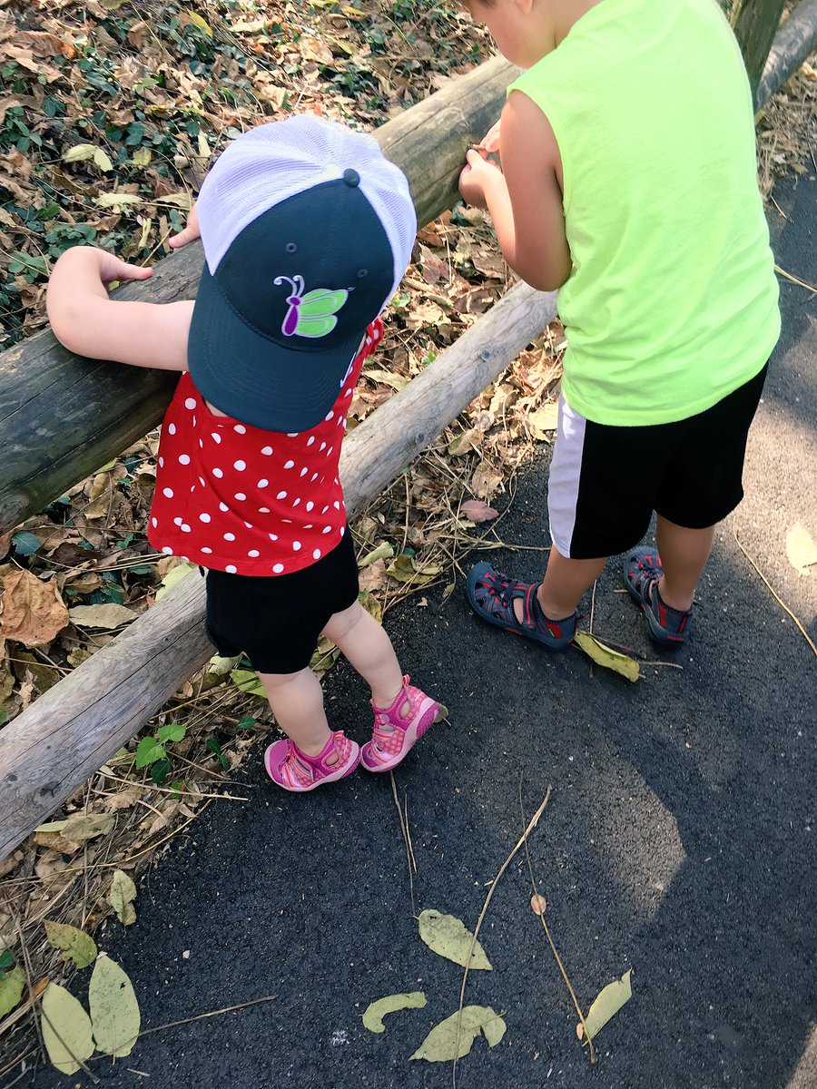 Bellaflies_org's tweet photo. Lil Sis representing Big Sis! #worldstrokeday #bellaflies #makingapositive #pediatricstrokeawareness https://t.co/BggWi6UWAR