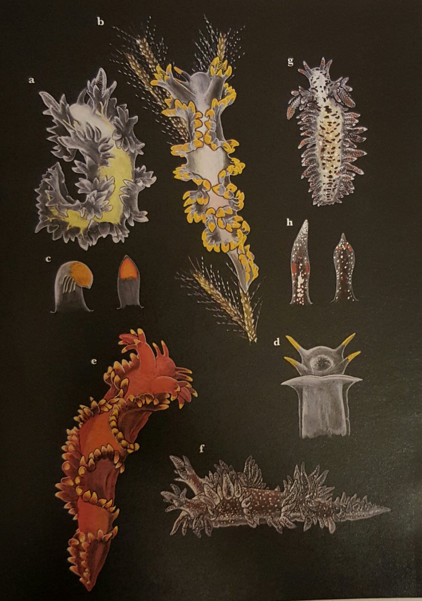 Vikie Llldoi Twitter