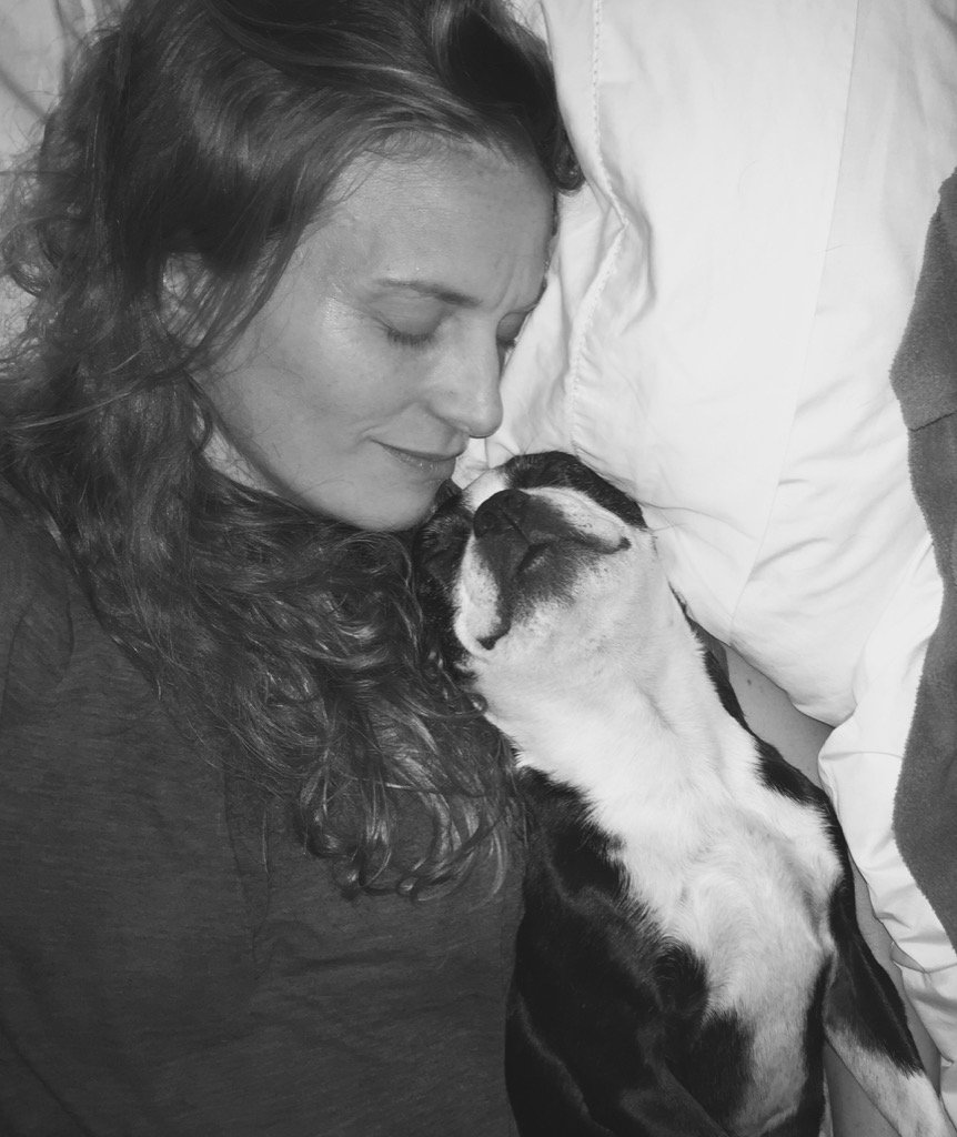 Doggerance's tweet photo. Gotta love dogs! Falling asleep and then Bean started snoring. 😳😂❤️ #lovedogs #cutebostonterrier #Beanster https://t.co/7Q9Soxzdj2