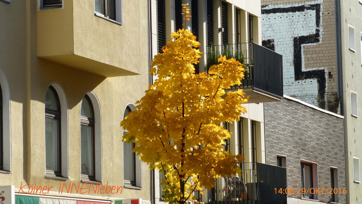 Vergoldete Oktoberverabschiedung
#365koeln #thisiscologne #schönergehtskaum