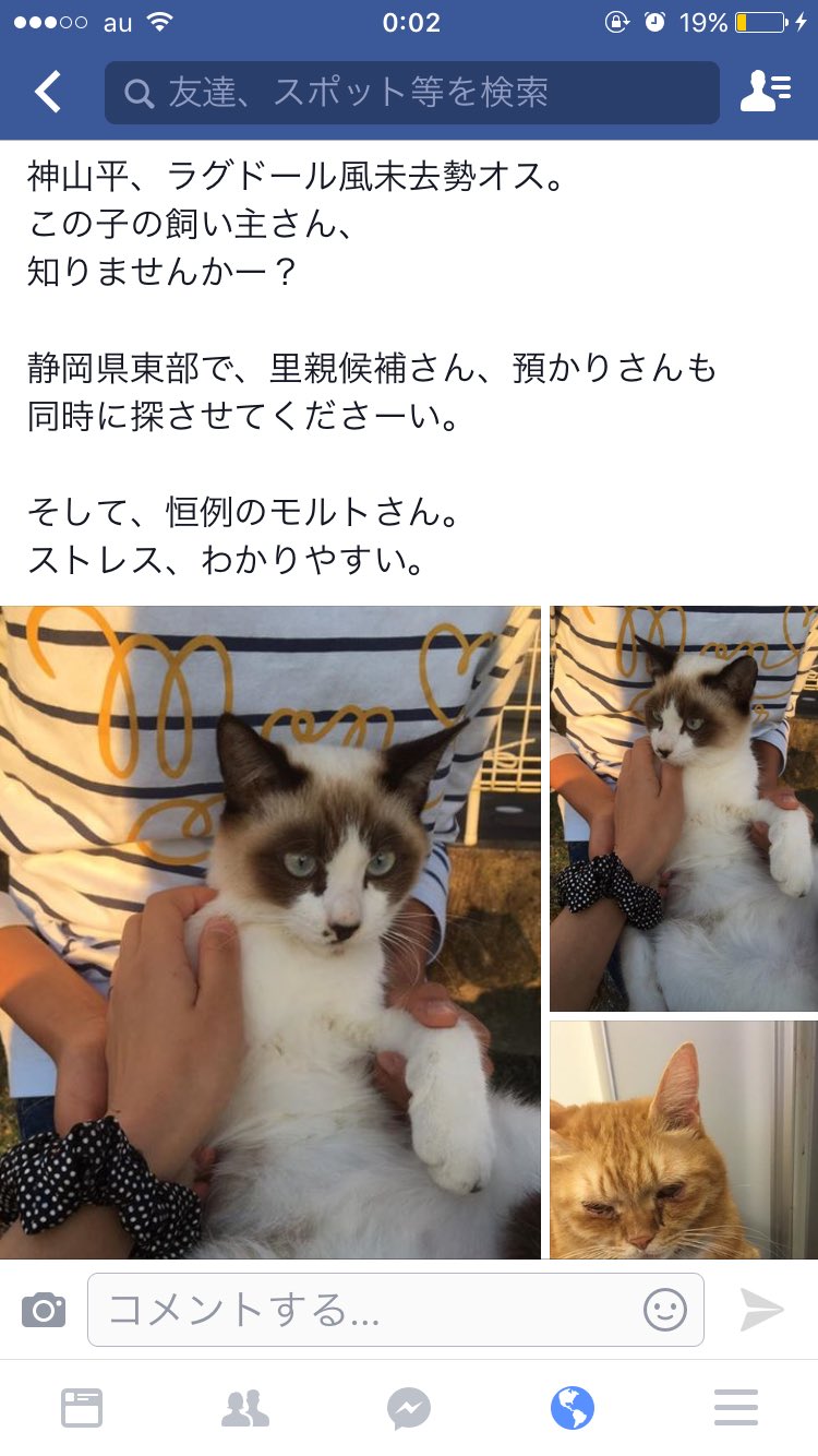 静岡県の保護された猫ちゃんたち Twitter